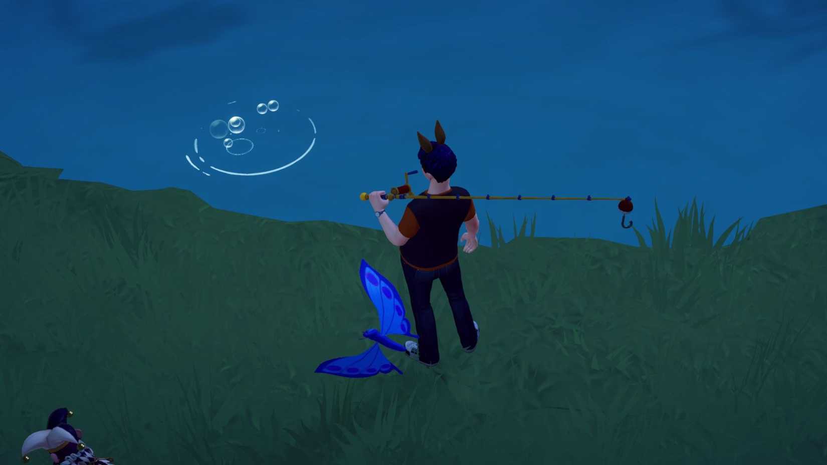 honey coral location ddv