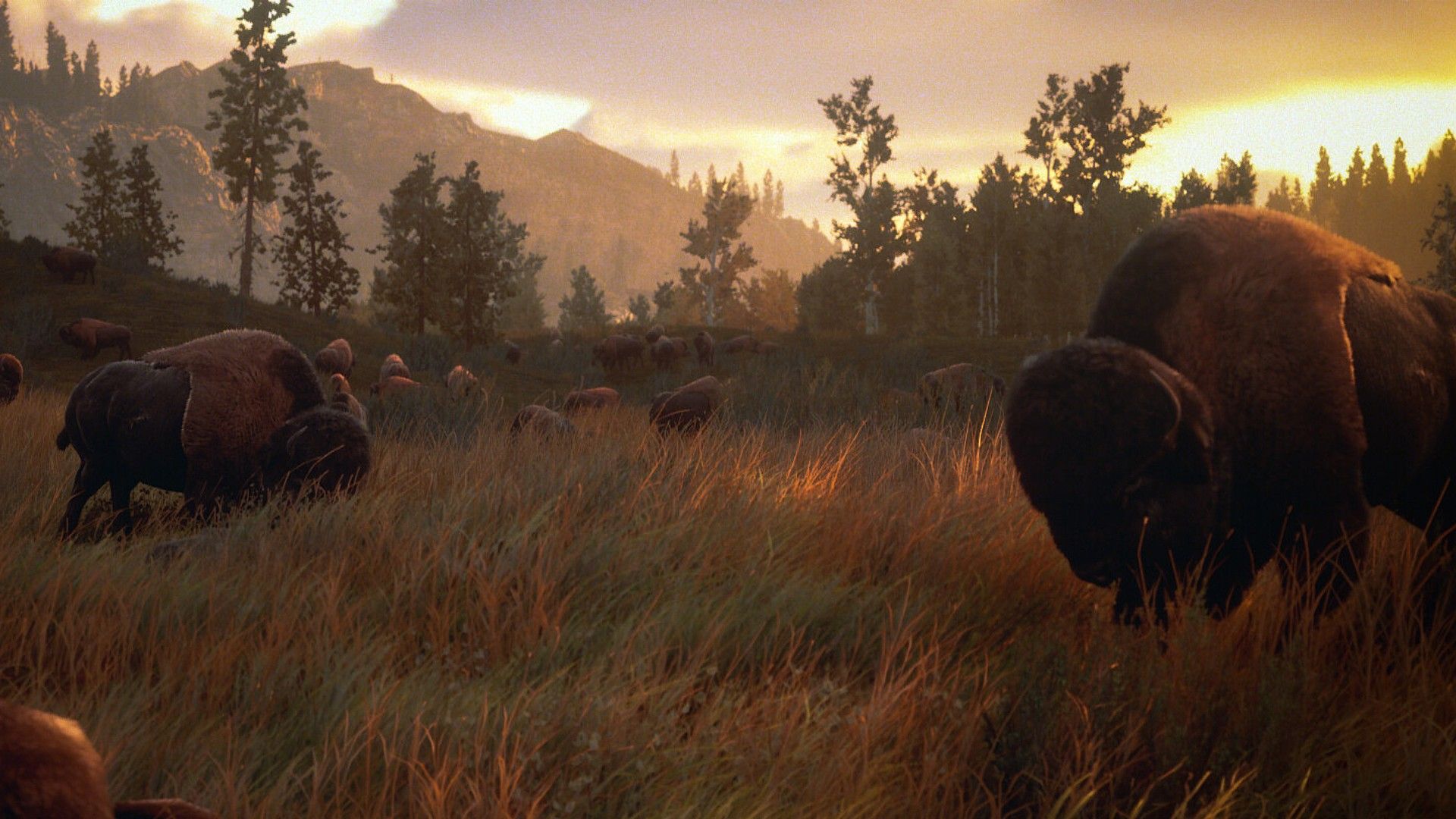 Hunting Simulator 3 Wildlife