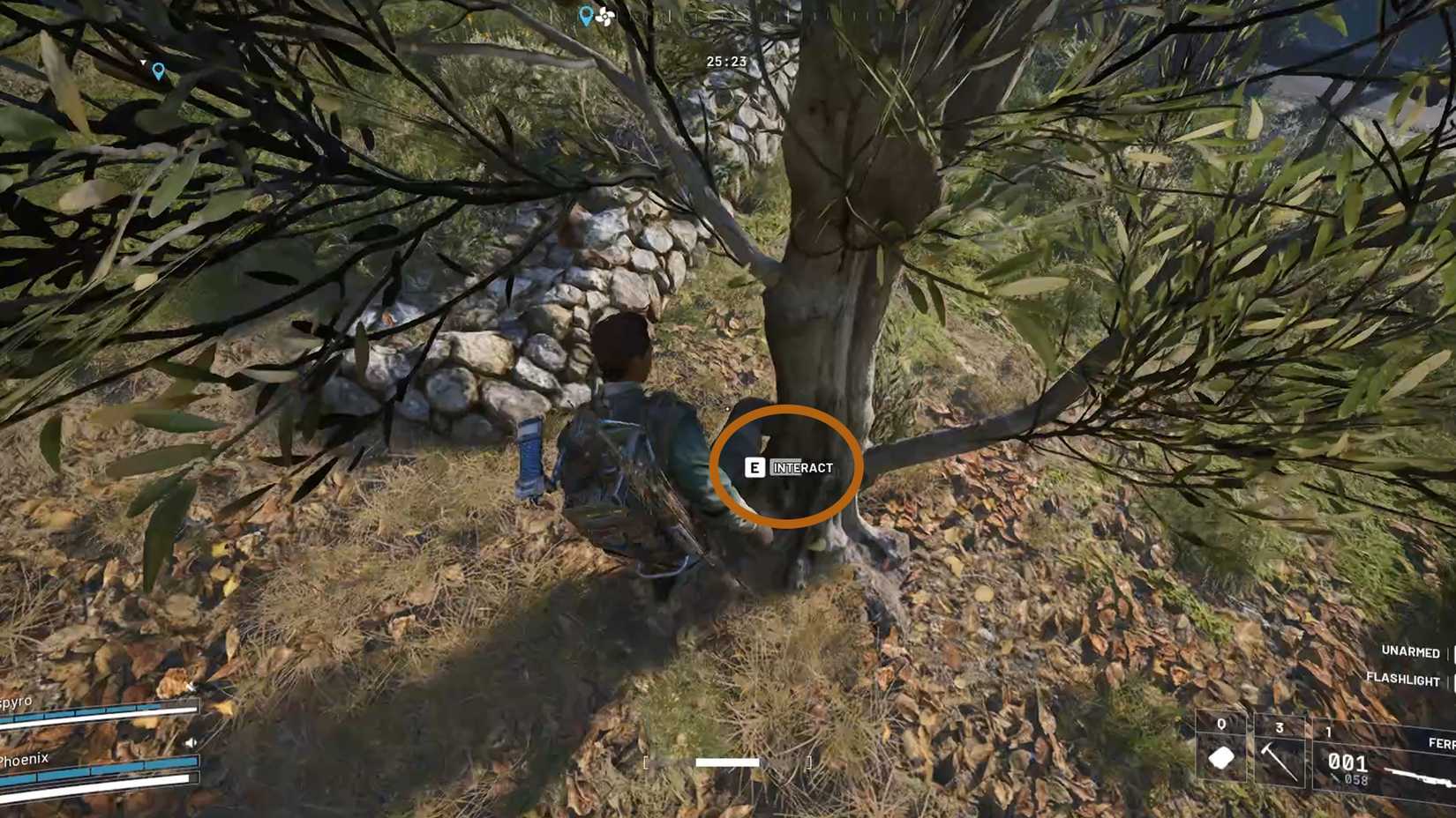 Interact with the Olive tree in ARC Raiders