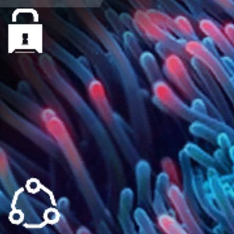 Invertebrate Camo in Black Ops 7