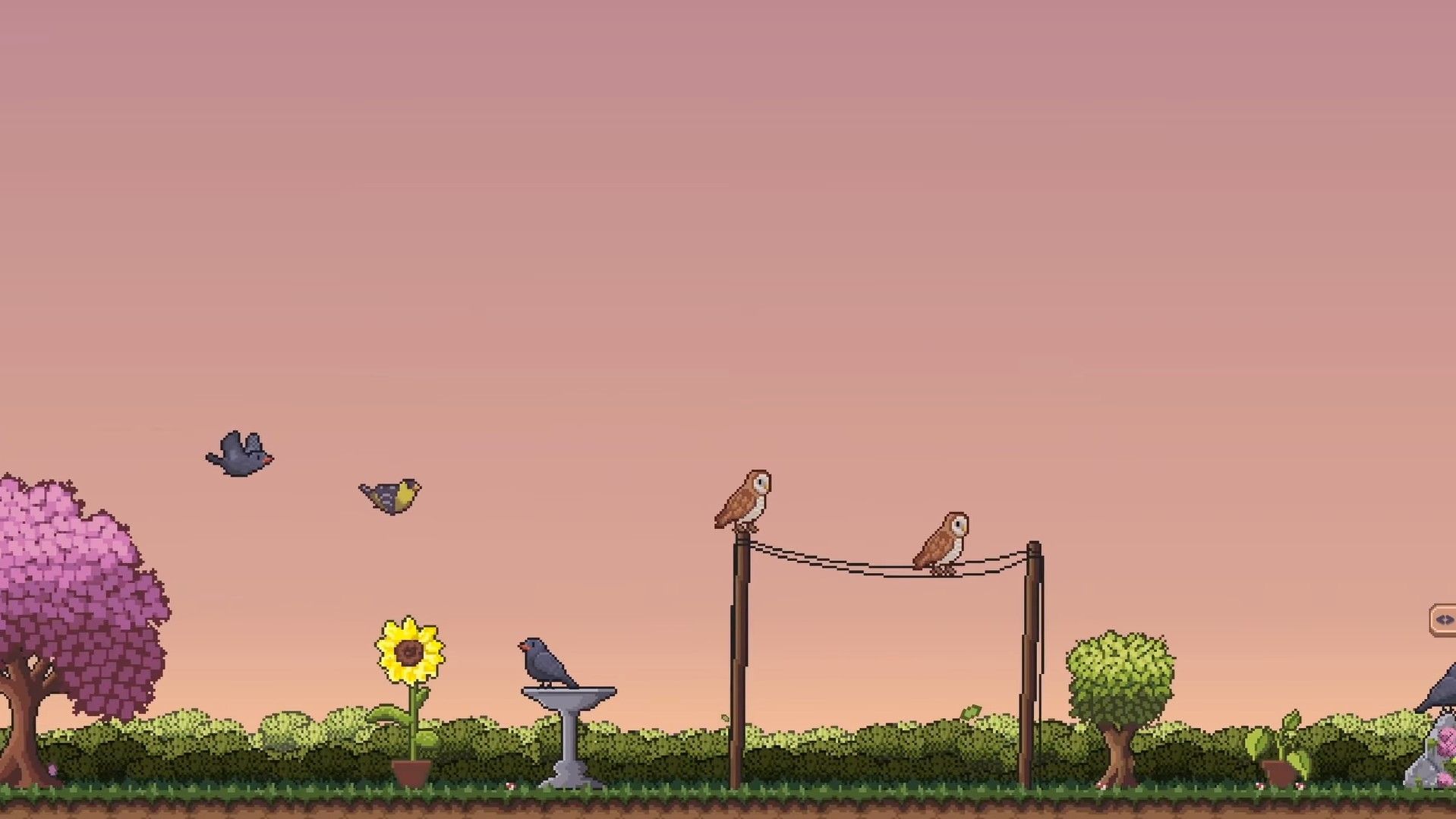 Little Aviary - trailer screenshot