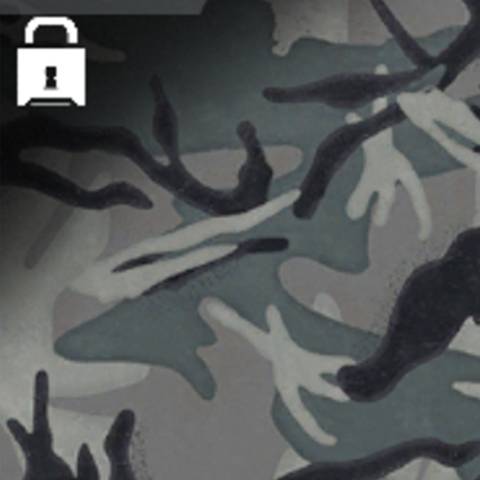 Marshland Camo in Black Ops 7