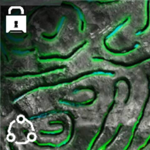 Necromancer Camo in Black Ops 7