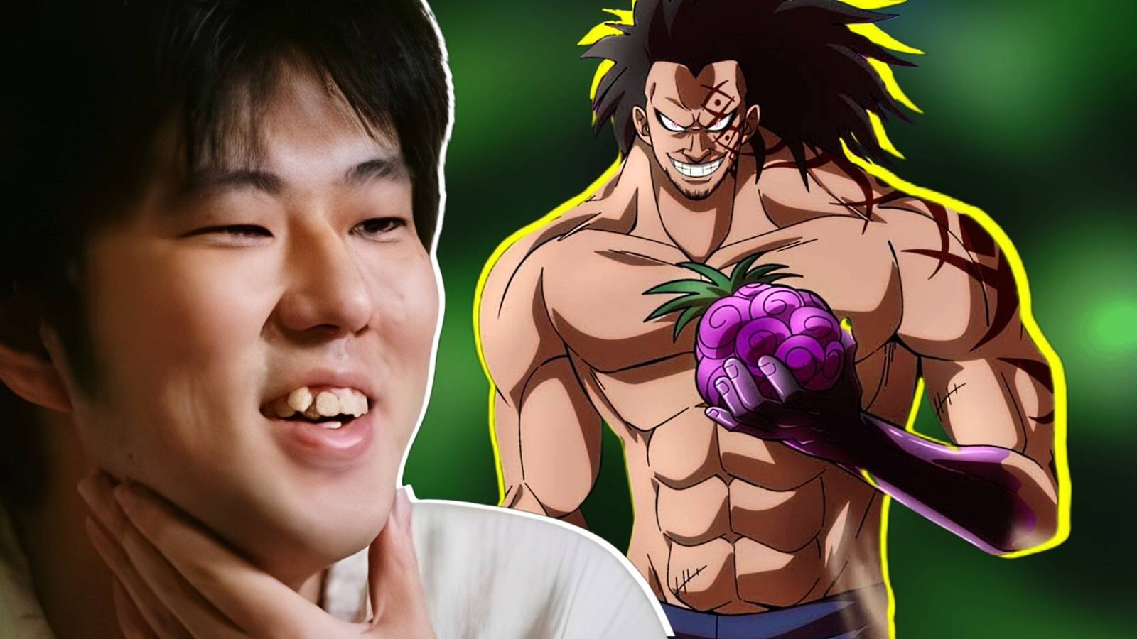 One Piece Monkey D Dragon Devil Fruit Ability