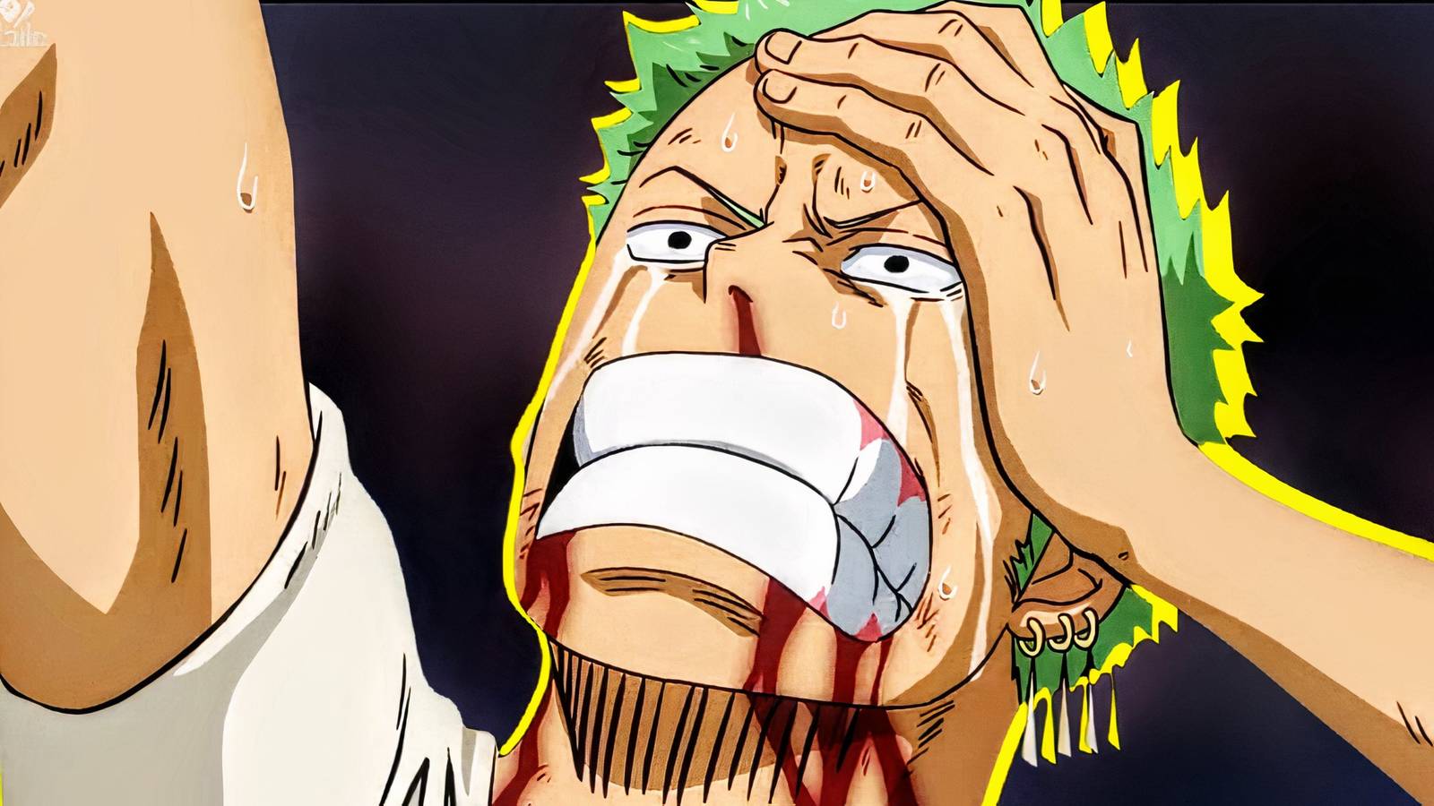 One Piece Zoro Beaten