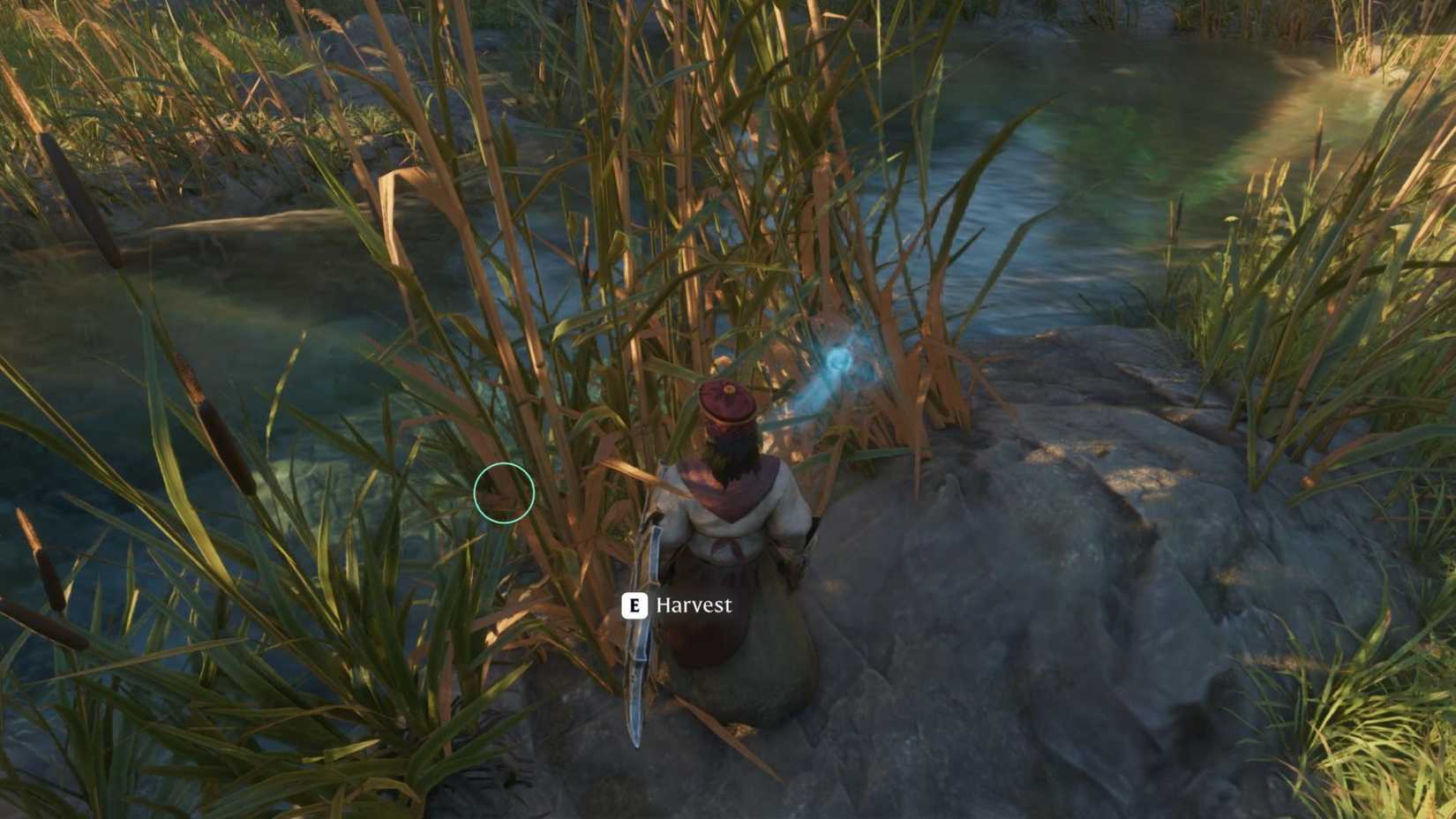 Paper Reed Harvest Enshrouded