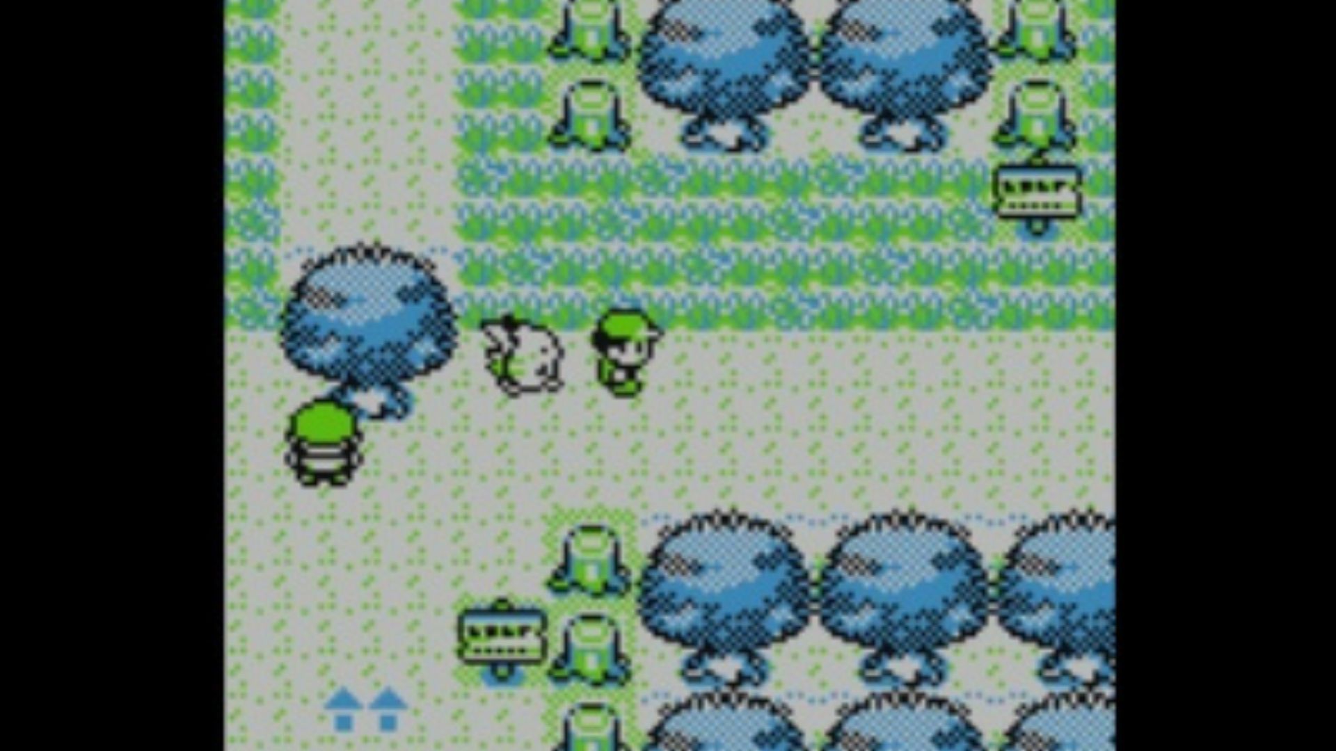 Pikachu following the player around - Pokemon Yellow