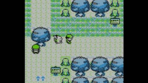 Pikachu following the player around - Pokemon Yellow