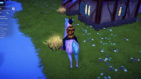 pixie dust location ddv