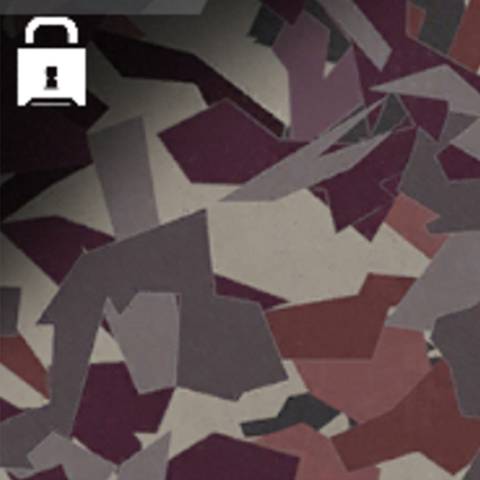 Ravine Camo in Black Ops 7