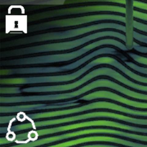 Runoff Camo in Black Ops 7