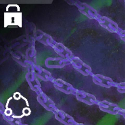 Shackled Camo in Black Ops 7