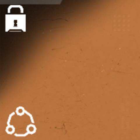 Tangerine Camo in Black Ops 7