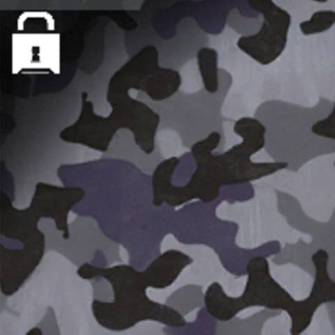 Tundra Camo in Black Ops 7