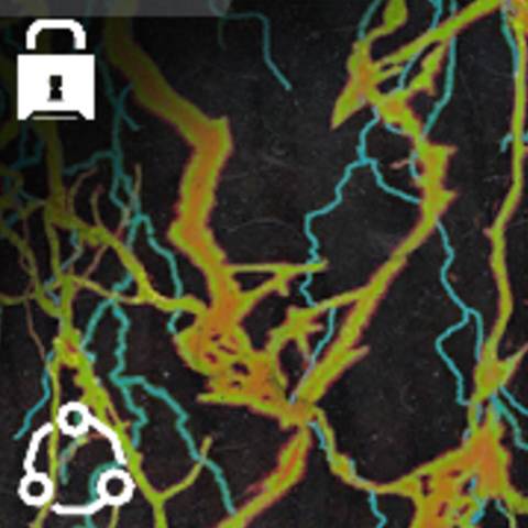 Voltaic Camo in Black Ops 7