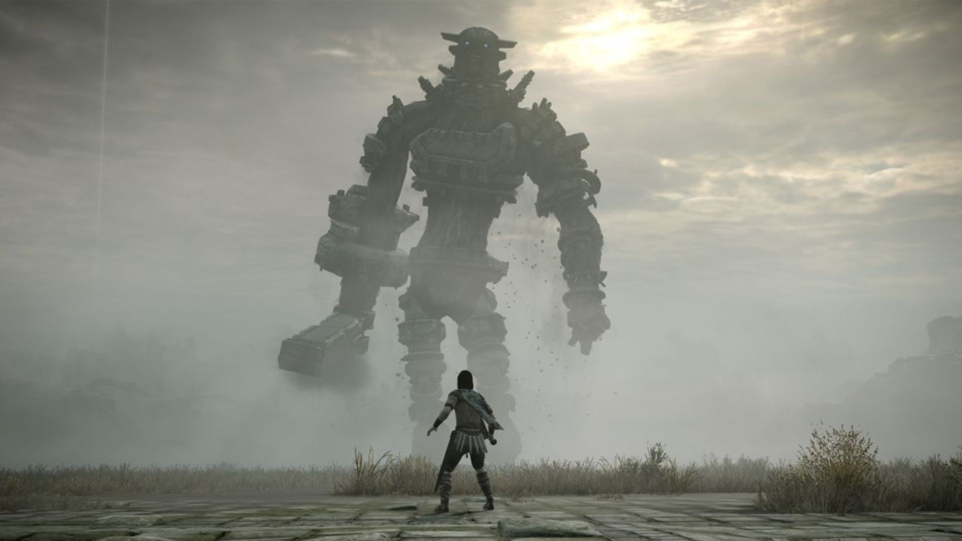 Wander face to face against a colossus - Shadow Of The Colossus