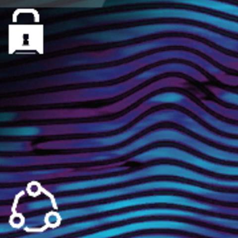 Wavelength Camo in Black Ops 7