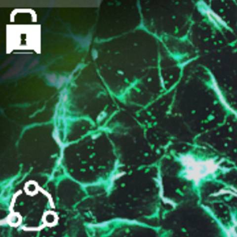 Weaponized 115 Camo in Black Ops 7