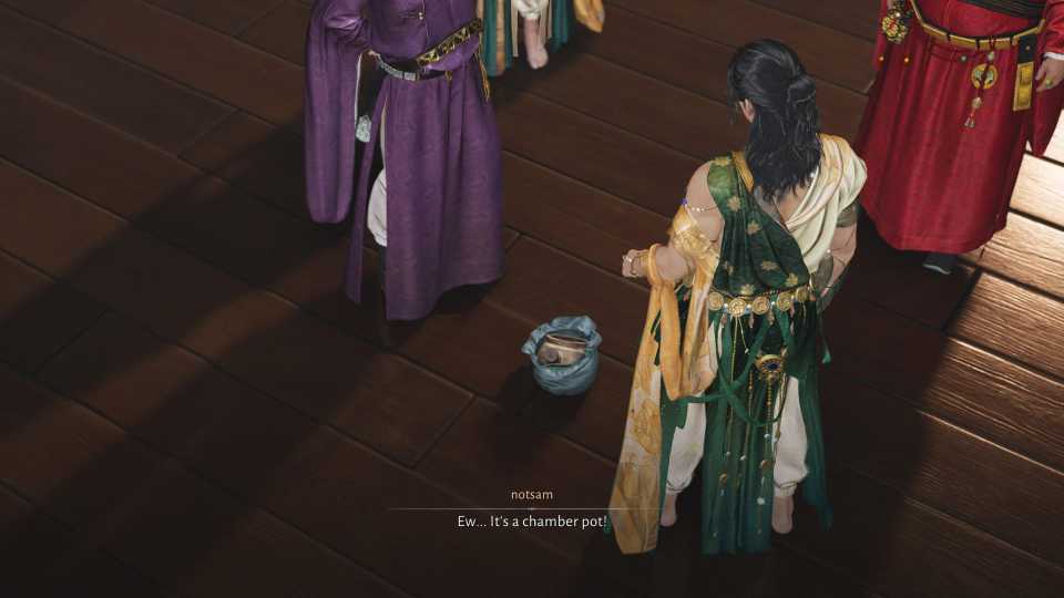 Where Winds Meet Opened Bag