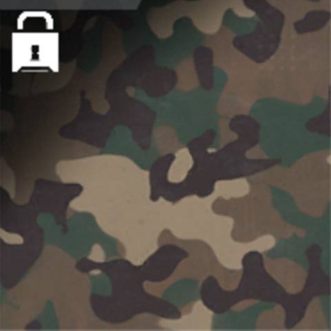 Woodland Camo in Black Ops 7