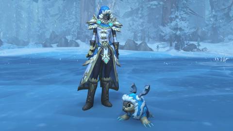 world of warcraft december 2025 trading post rewards noble's winter collection bundled up bob pet