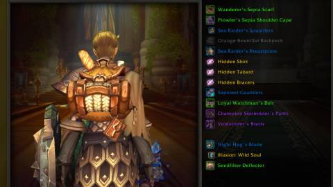 world of warcraft pilgrim's bounty backpacks brown