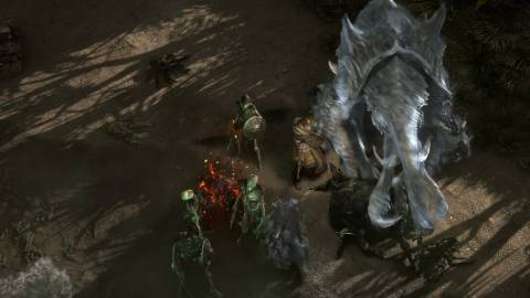 PoE 2 Witch with minions