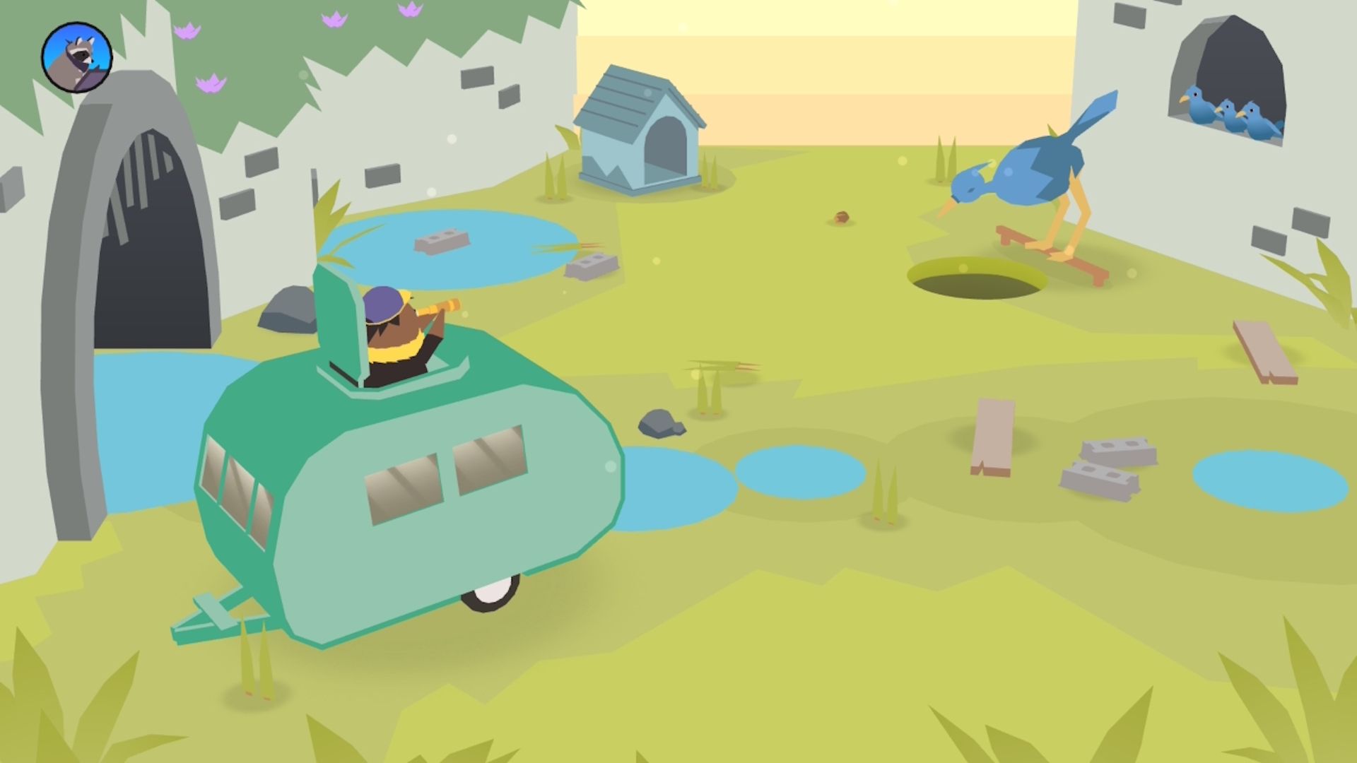 A bird drinking water in Donut County