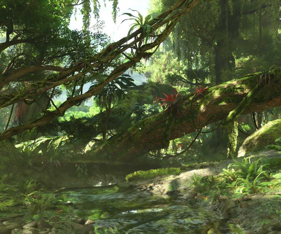 A lush forest in Avatar Frontiers of Pandora