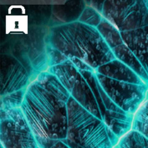 Absolute Zero Camo in Warzone