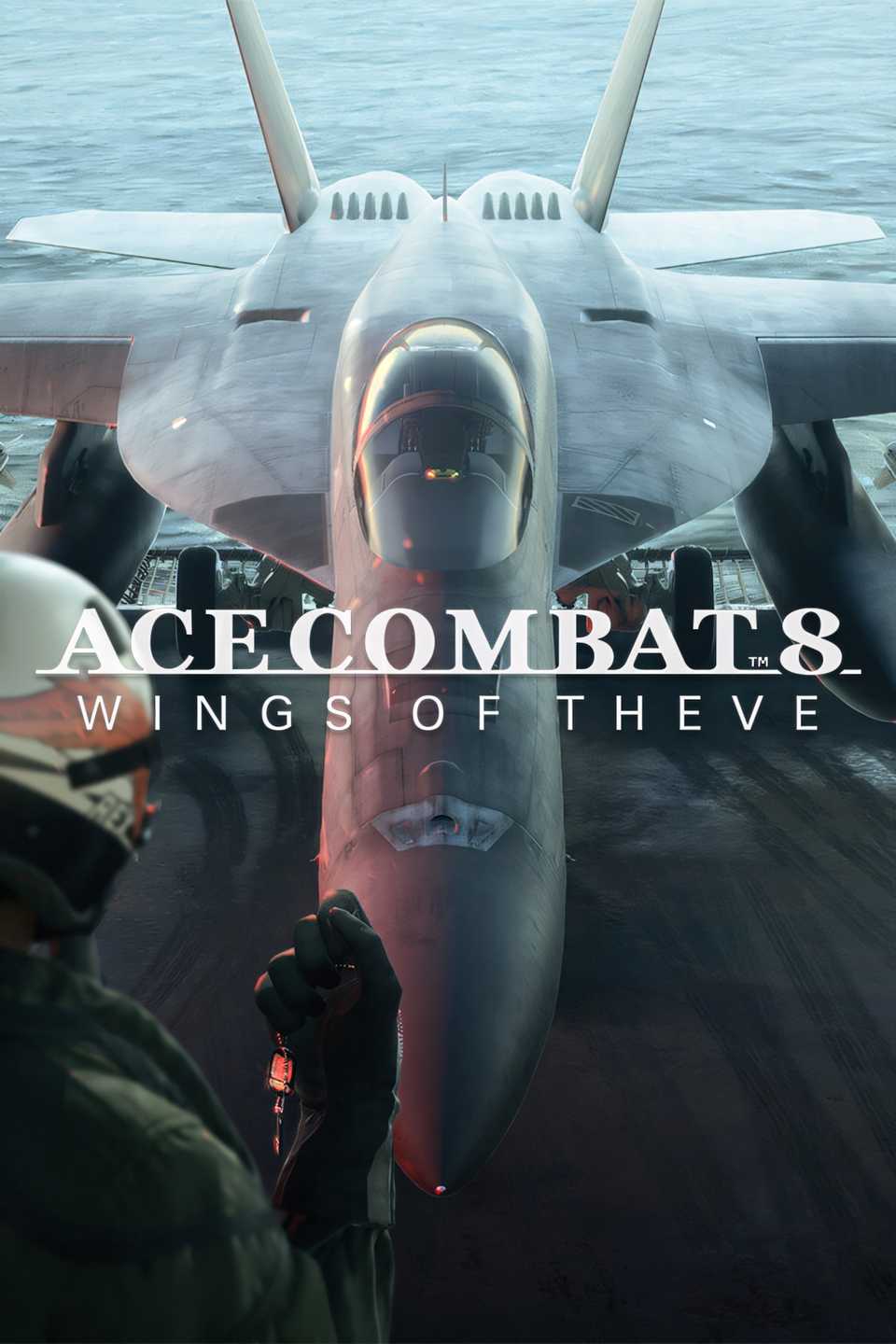 Ace Combat 8 Wings of Theve Tag Page Cover Art