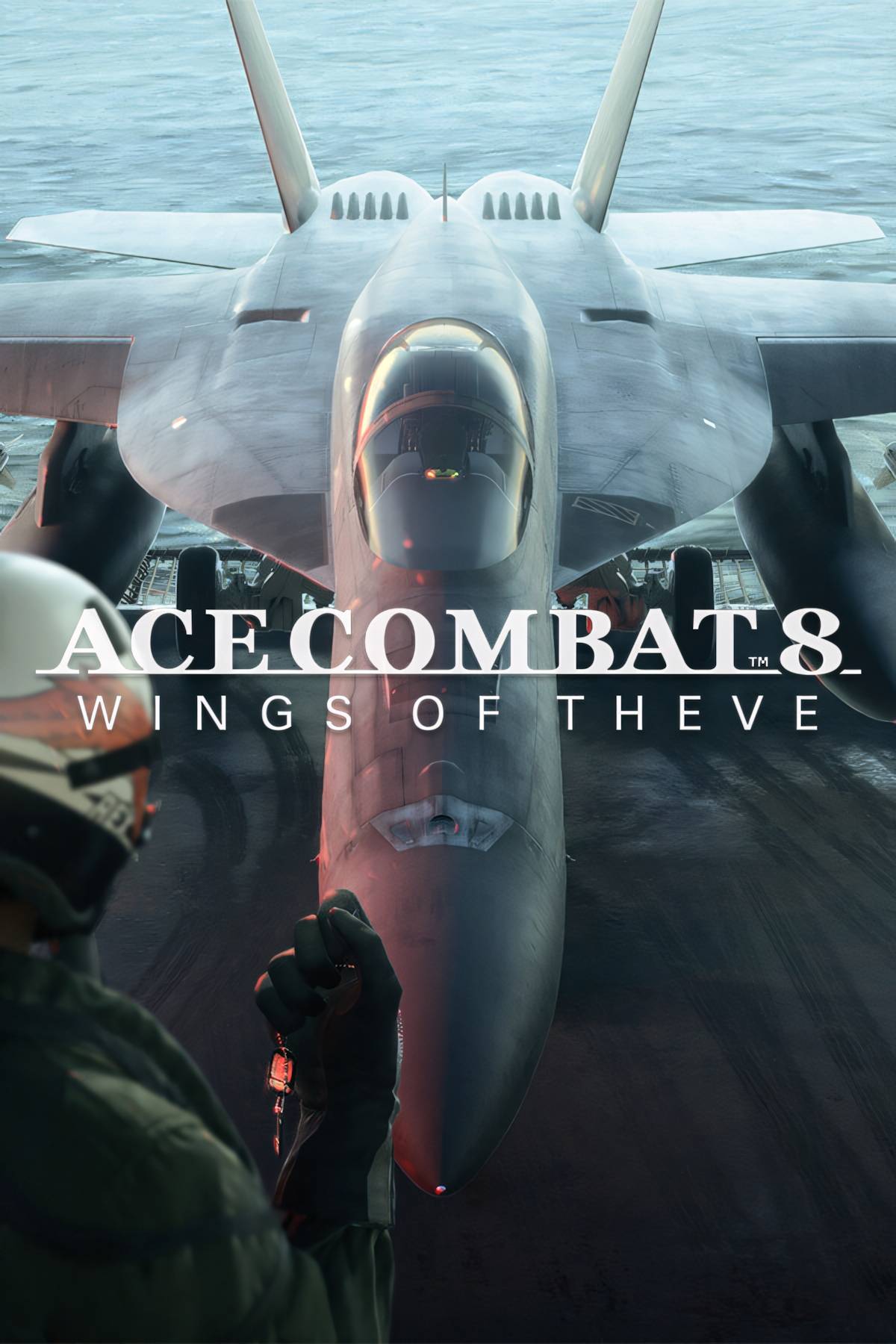 Ace Combat 8 Wings of Theve Tag Page Cover Art