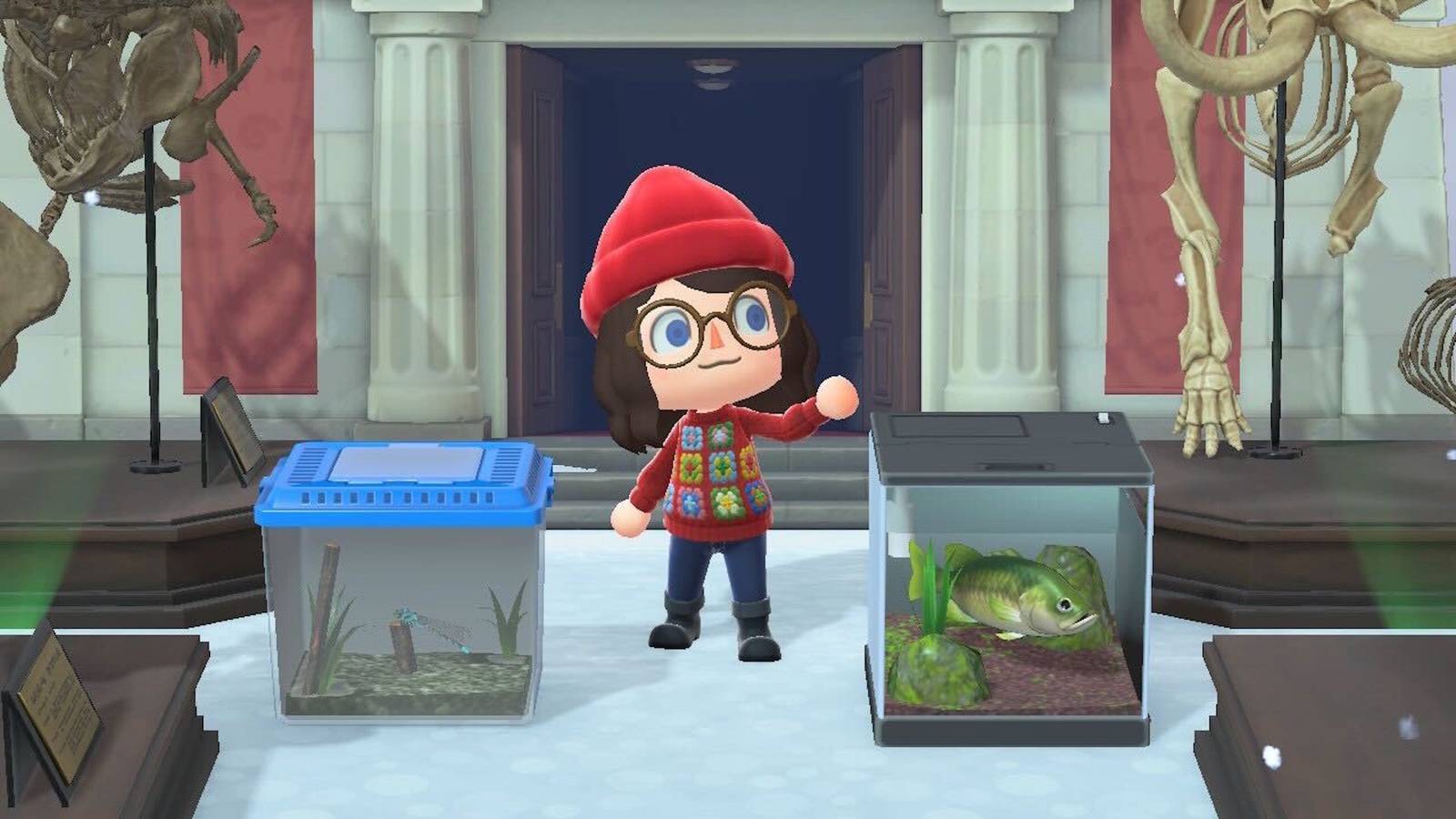 All January Fish and Bugs in Animal Crossing New Horizons header