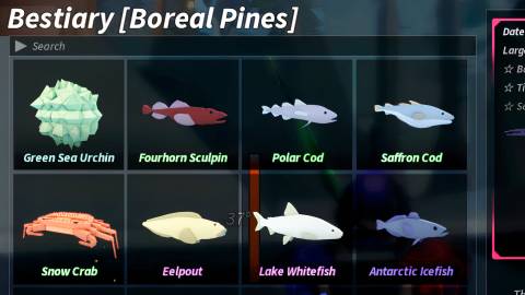 an imagine of the boreal pines bestiary in fisch
