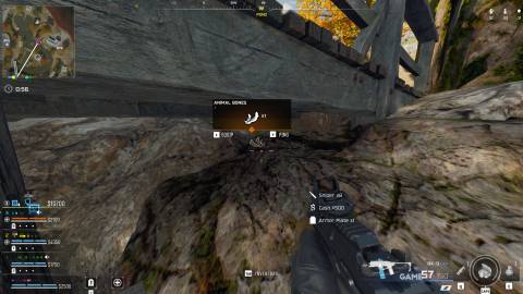 Animal Bones location on Haven's Hollow - Warzone