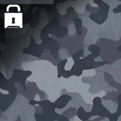 Arctic Camo in Warzone