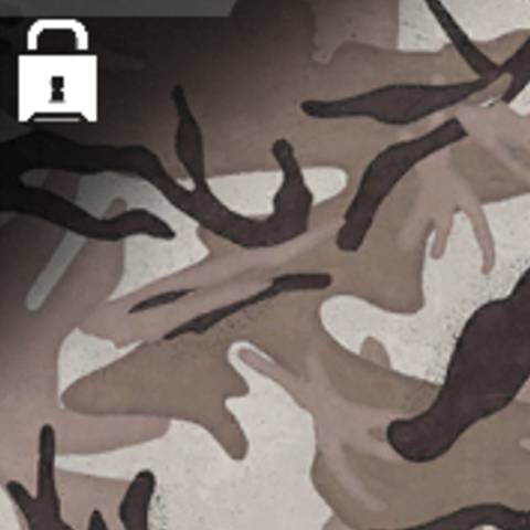 Arid Camo in Warzone