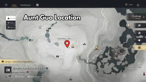aunt guo location where winds meet