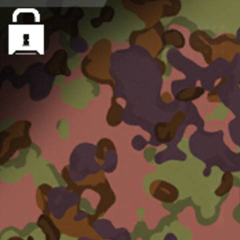 Autumn Camo in Warzone