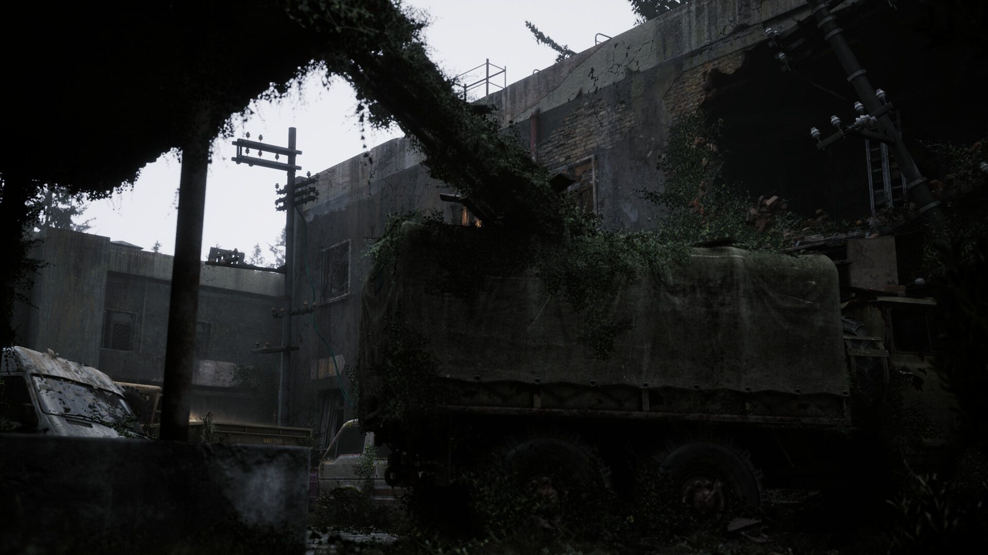 Beautiful Light Press Image 10