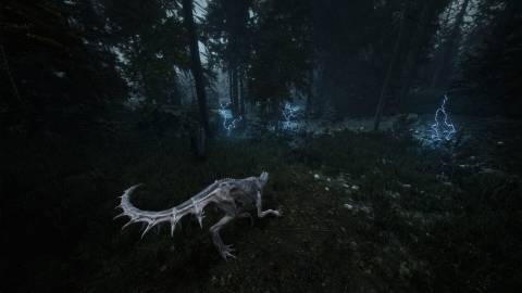 Beautiful Light Press Image 2