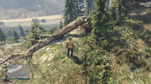 body parts yeti clue