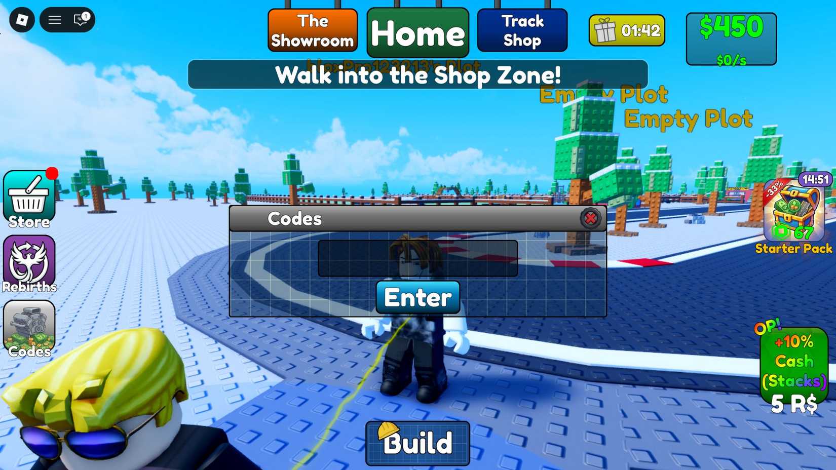 Build a Racetrack the codes tab