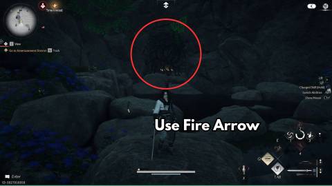 coin bag 1 location wherre winds meet (5)