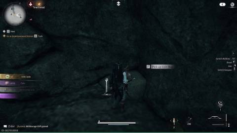 coin bag 1 location wherre winds meet (6)