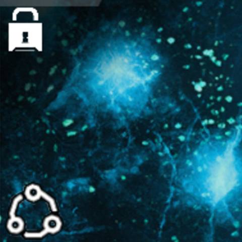 Crystaline Fracture Camo in Black Ops 7