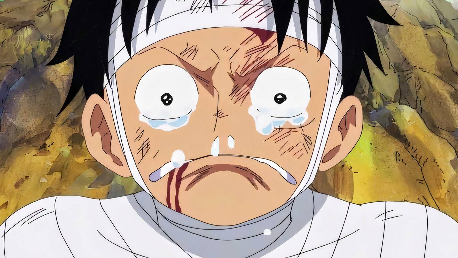 December 28 Will be The End Of An Era For One Piece