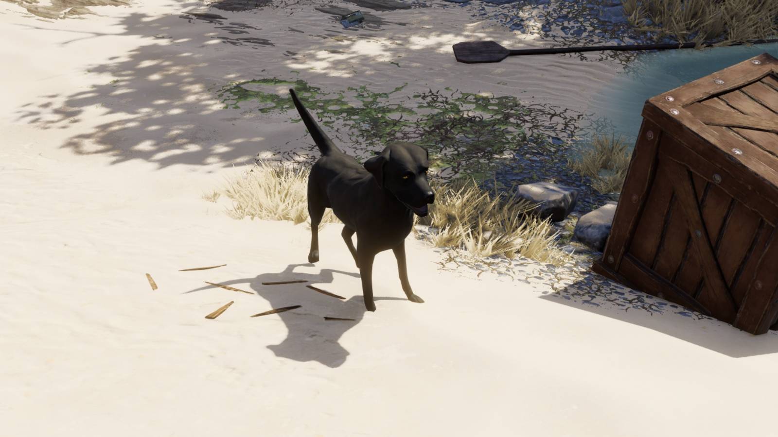 Divinity Original Sin 2_ How to Use Buddy’s Key Finding Emmie dos2 feature image