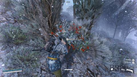 Don't Waste Time Looting Candleberries in ARC Raiders Cold Snap (4)