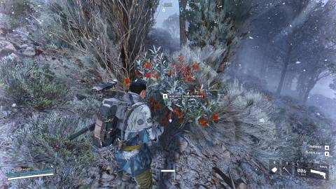 Don't Waste Time Looting Candleberries in ARC Raiders Cold Snap (5)